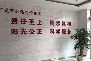 廣元審計局雷迪司數據中心機房應用案例
